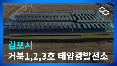 [크기변환]김포 거북.png