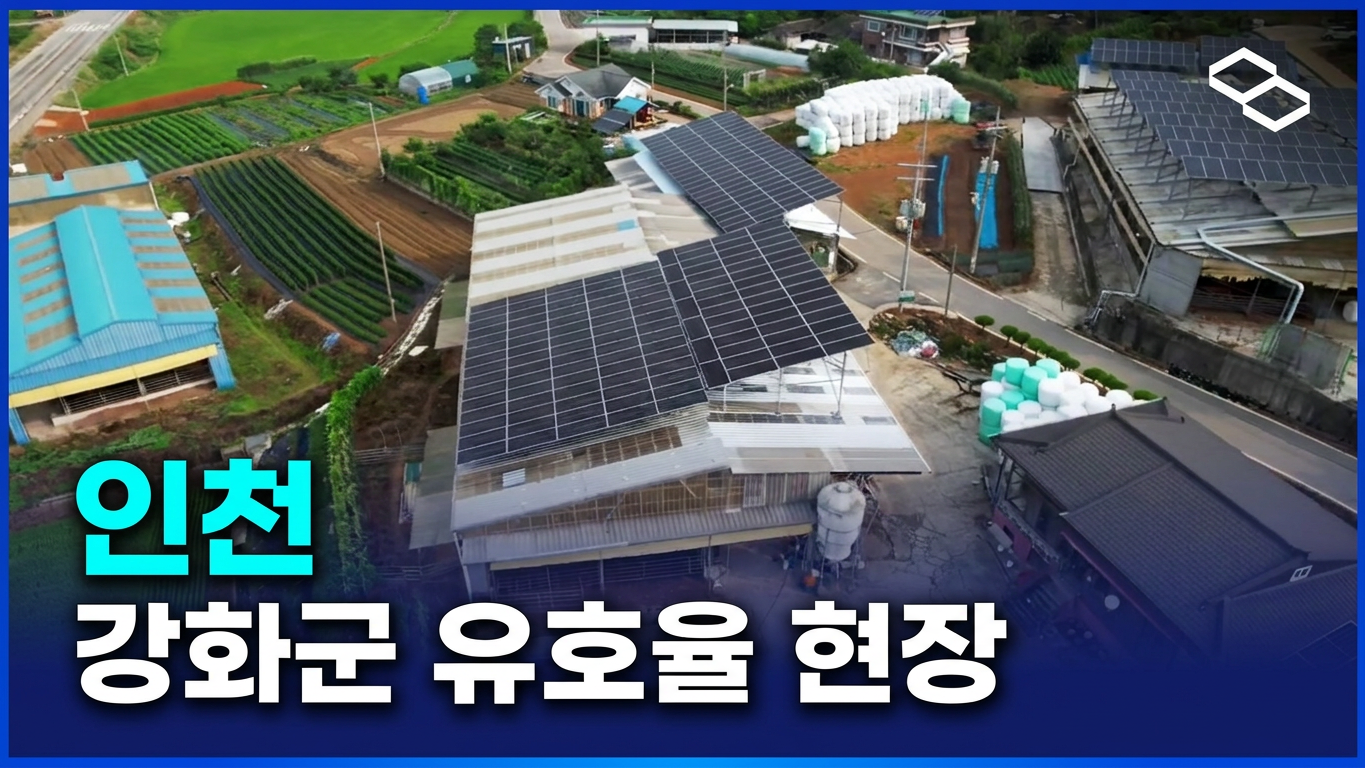 유호율 썸네일.png